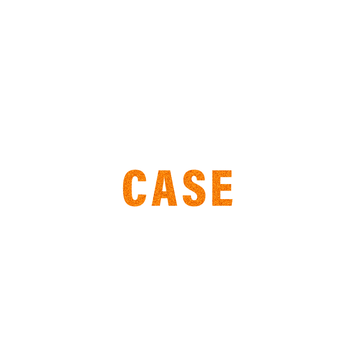 CASE